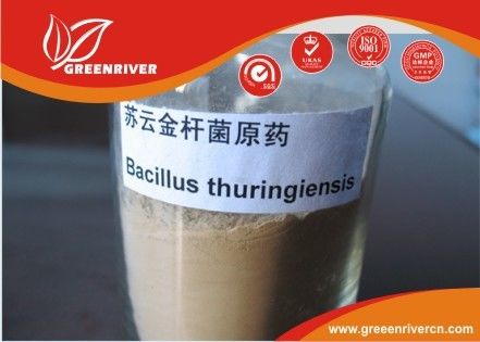 중국 lepidopterous 애벌레 통제를 위한 백색 분말 간균 thuringiensis 살충제 협력 업체